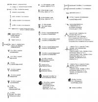 Схема вязания бежевая ажурная шаль раздел вязание крючком для женщин шарфы, шали, палантины для женщин
