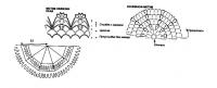 Схема вязания кружевная шаль белая раздел вязание крючком для женщин шарфы, шали, палантины для женщин